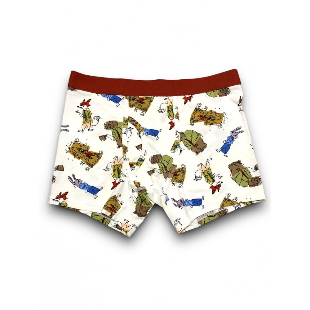Disney Men's "Peter Rabbit" Boxer Briefs - Small